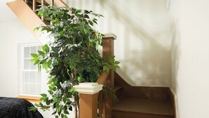 Un escalier avec une rampe en bois et un pot de fleurs à sa base.