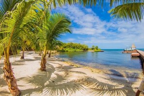 A beach with palm trees, clear water, and a dock.
