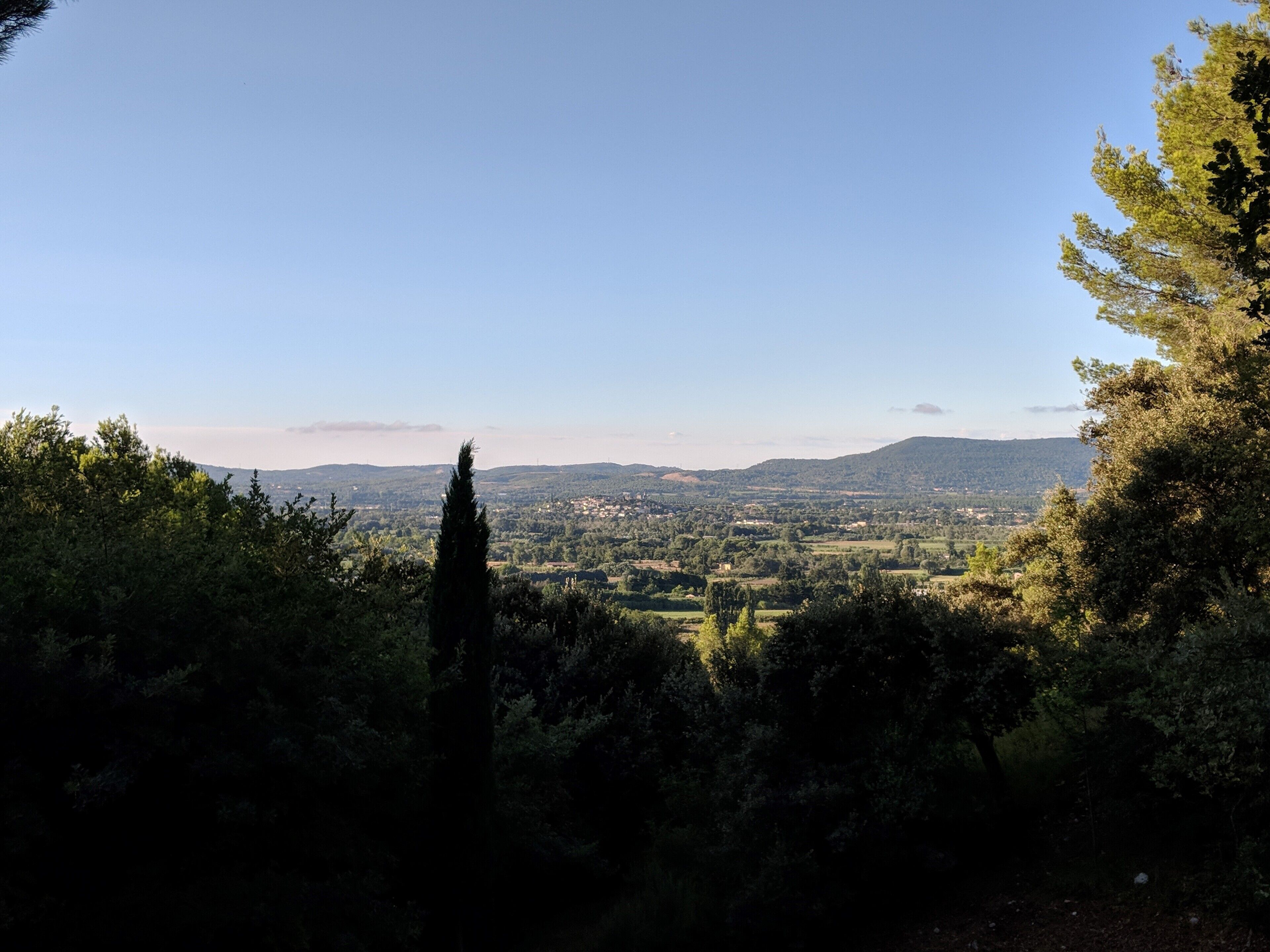 A panoramic view of a valley with a clear sky, surrounded by dense greenery and a prominent cypress tree in the foreground.