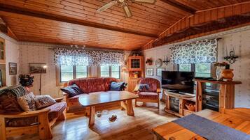 TV, fireplace, DVD player