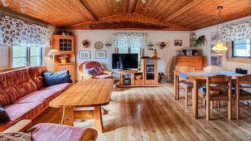 TV, fireplace, DVD player