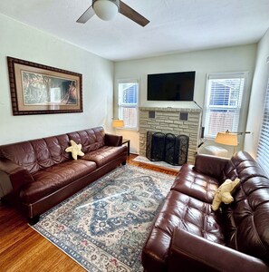 Smart TV, fireplace, books