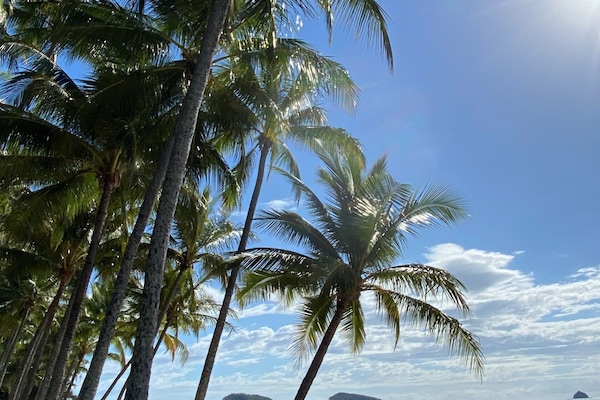 Plage à proximité, chaises longues, serviettes de plage