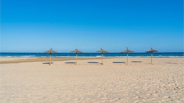 Une plage avec cinq parasols en chaume alignés en rangée.
