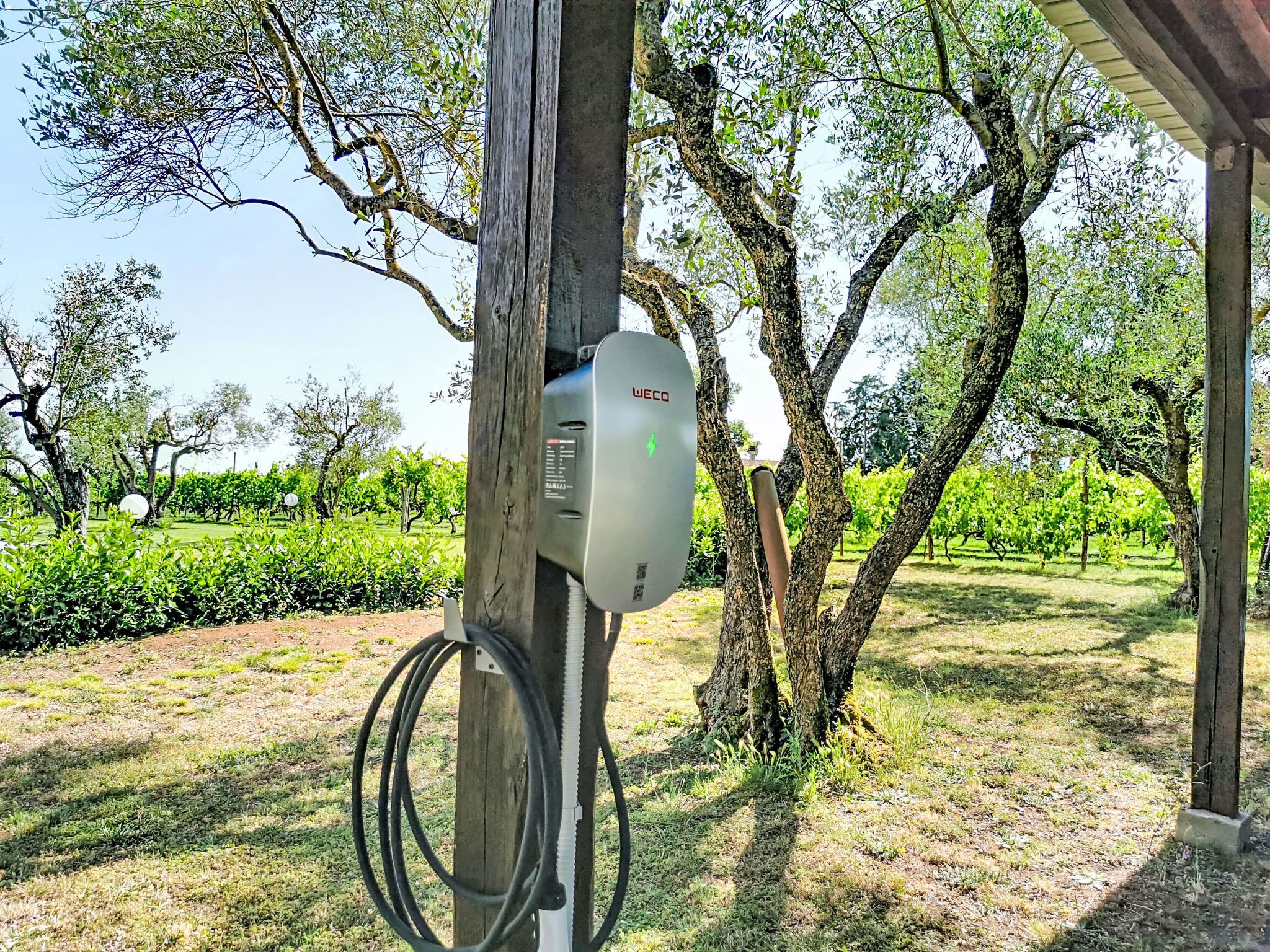 An outdoor electrical box mounted on a wooden post, surrounded by trees and a grassy area.