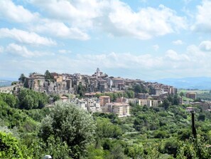 A historic town with buildings built on a hillside, surrounded by lush greenery.