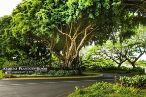 Enceinte de l’hébergement