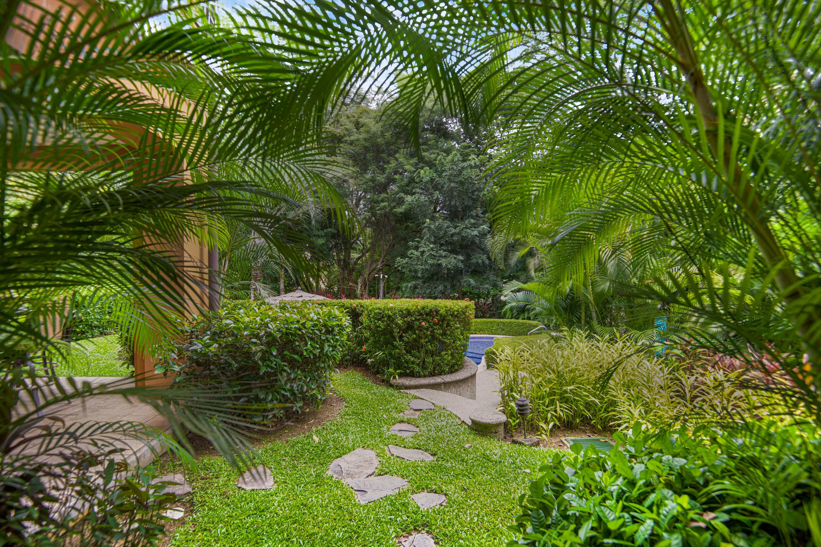 A garden with a stone pathway, lush greenery, and a well-maintained hedge.