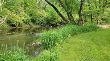 Une rivière bordée de chaque côté d’une végétation luxuriante et d’arbres.