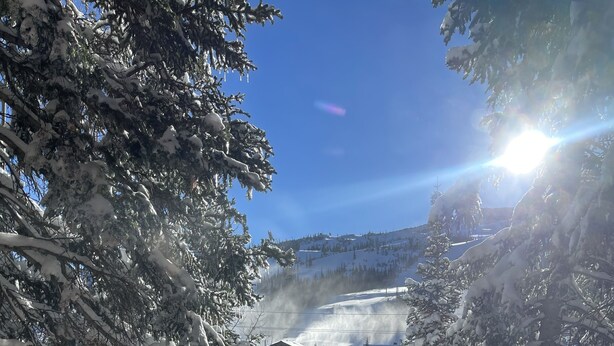 A snowy landscape with a wooden deck in the foreground.