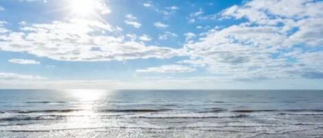Plage à proximité, chaises longues, serviettes de plage