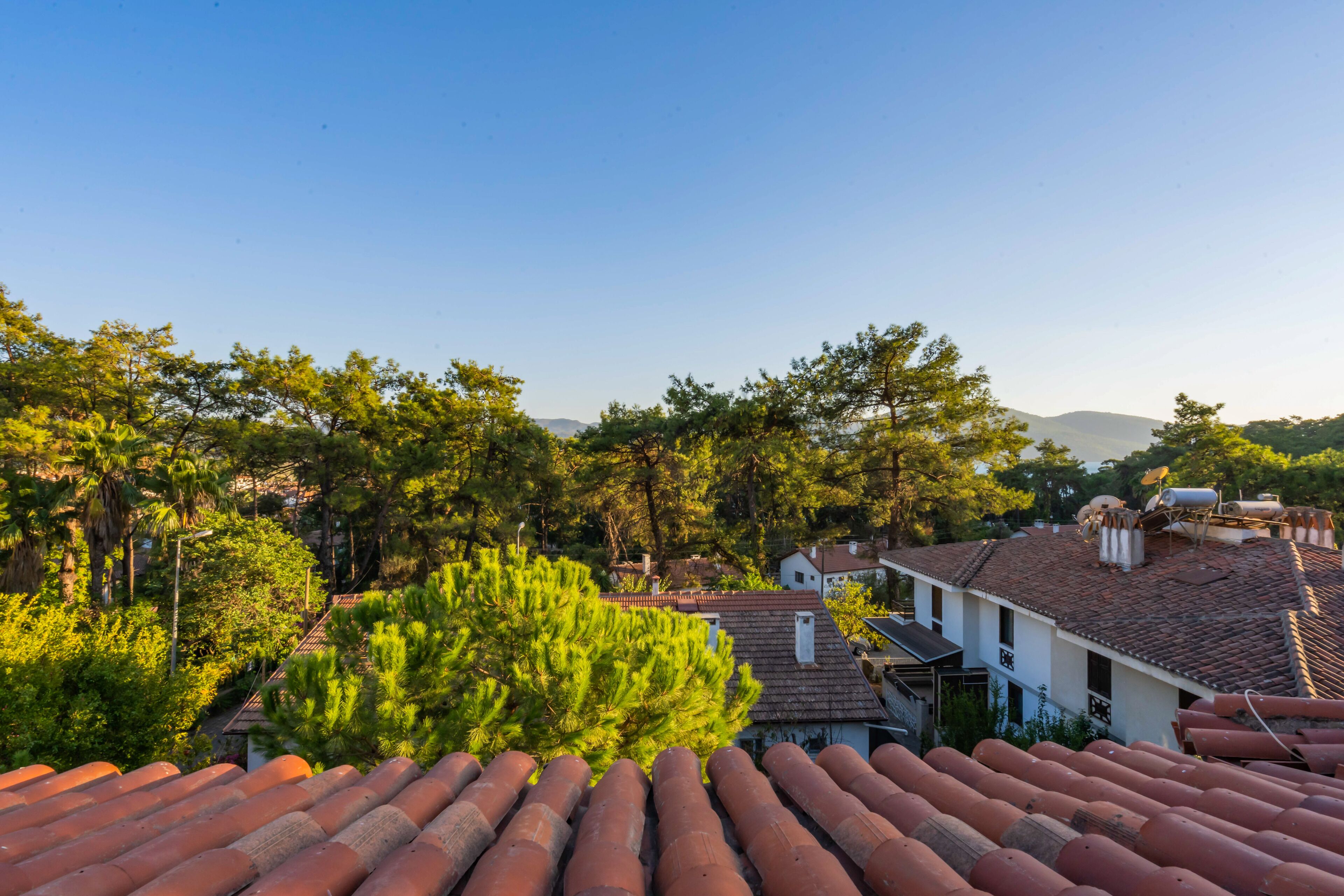 deluxe suite | view from room