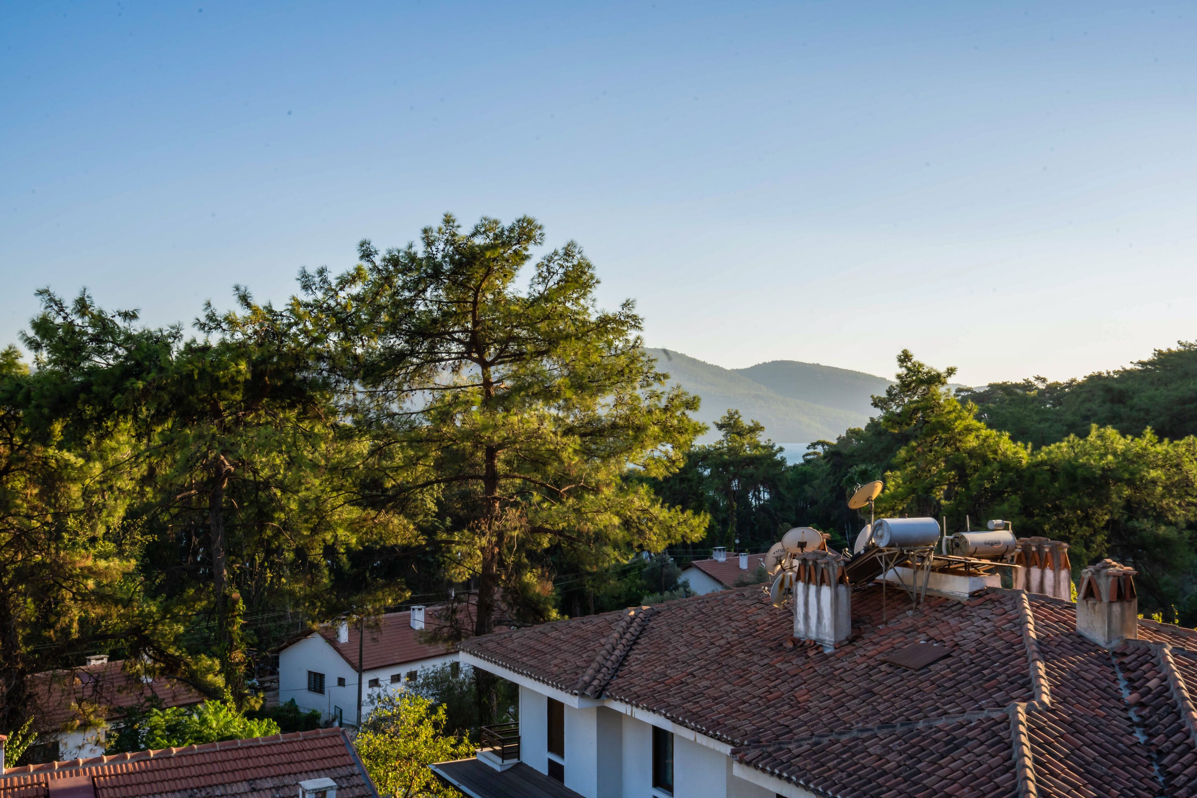 deluxe suite | view from room