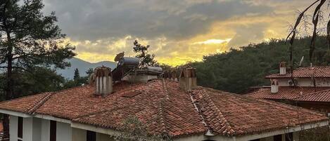 Un edificio con tejado de tejas, varias chimeneas y un balcón.
