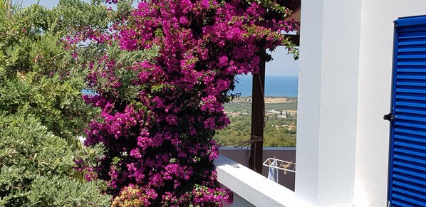 Villa, 3 Bedrooms, Fireplace | View from property