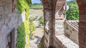 Un corredor de piedra con arco que ofrece vistas a un paisaje rural.
