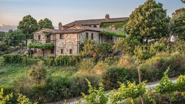 Un edificio de piedra con varias habitaciones, rodeado de abundante vegetación y árboles.
