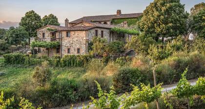 WP RELAIS BORGO VIGNALUNGA, 46 HECTARES OF LAND IN THE HEART OF VAL D'ORCIA