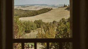 Vista a través de un ventanal arqueado de un paisaje rural con colinas onduladas, árboles y un edificio distante.