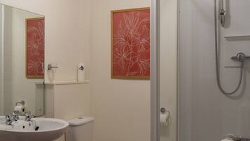 Combined shower/tub, hair dryer, towels, soap
