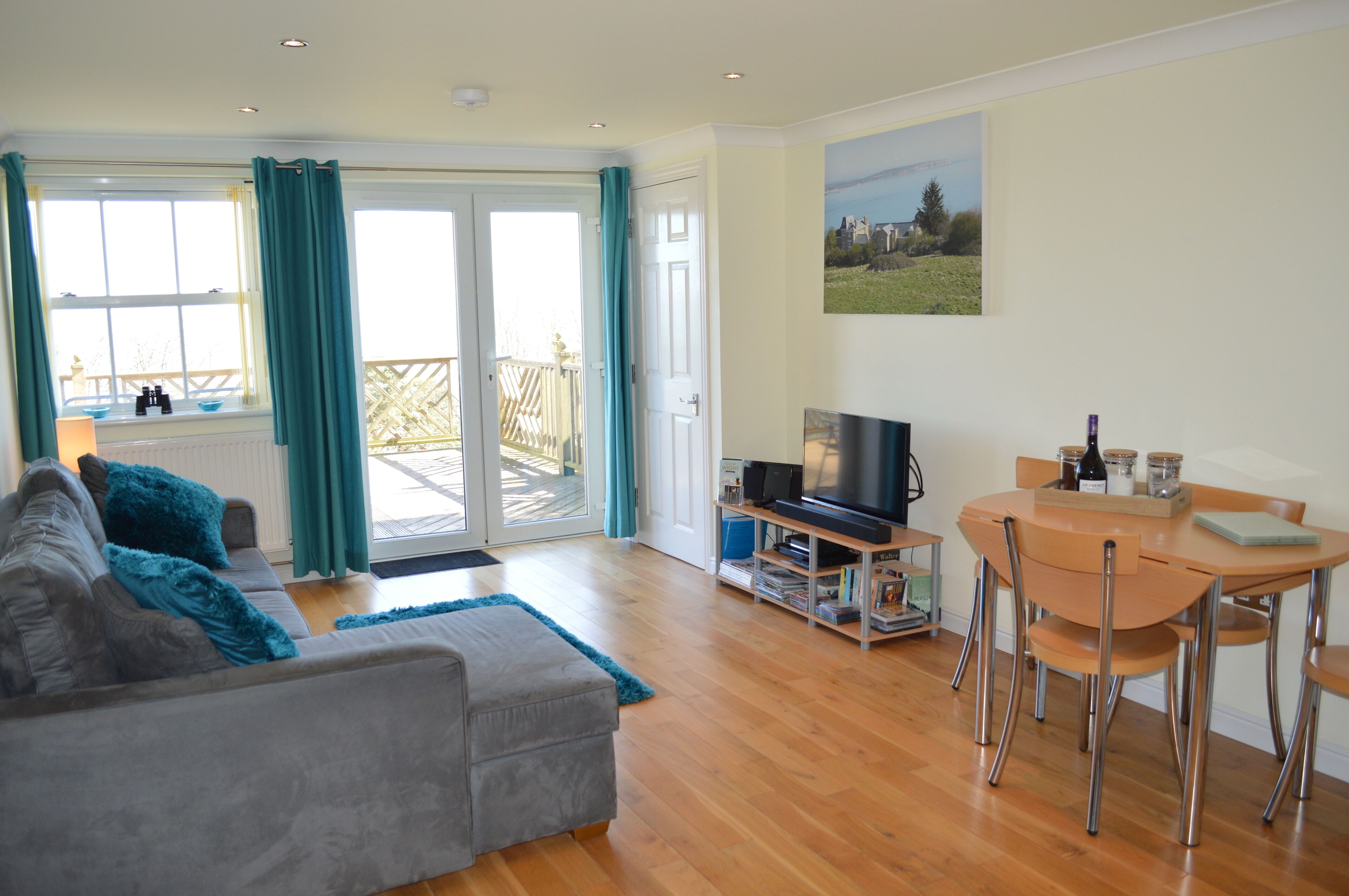 Smart TV, DVD player, books, video library