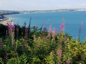 A coastal landscape with a view of the sea, a beach, and a town in the distance.