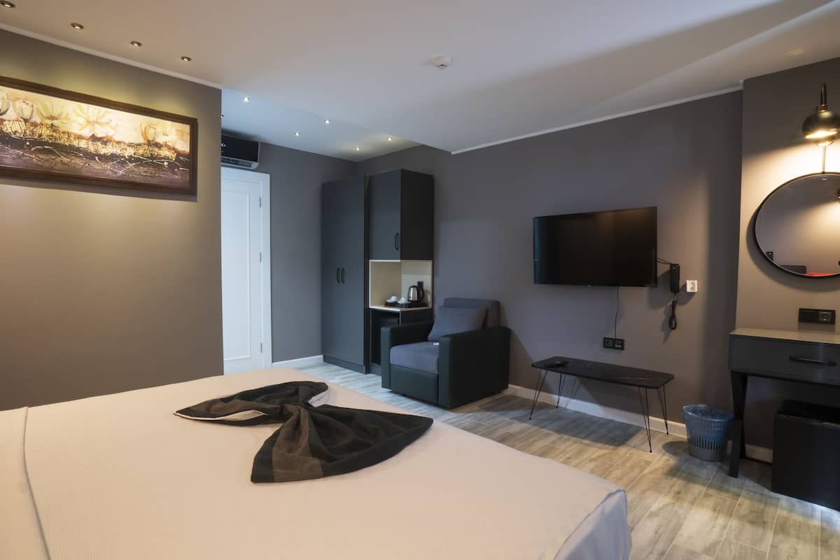 Standaard driepersoonskamer | 1 slaapkamer, een minibar, een kluis op de kamer, gratis wifi