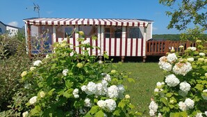 Una piccola casa a un piano con tenda a righe, circondata da vegetazione lussureggiante e fiori bianchi.