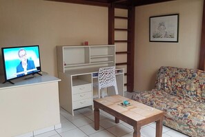 TV, DVD player, ping pong, books