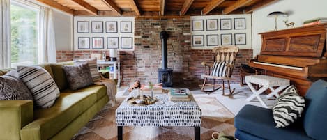 Smart TV, fireplace, books