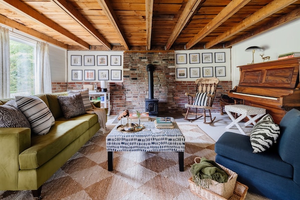 Smart TV, fireplace, books