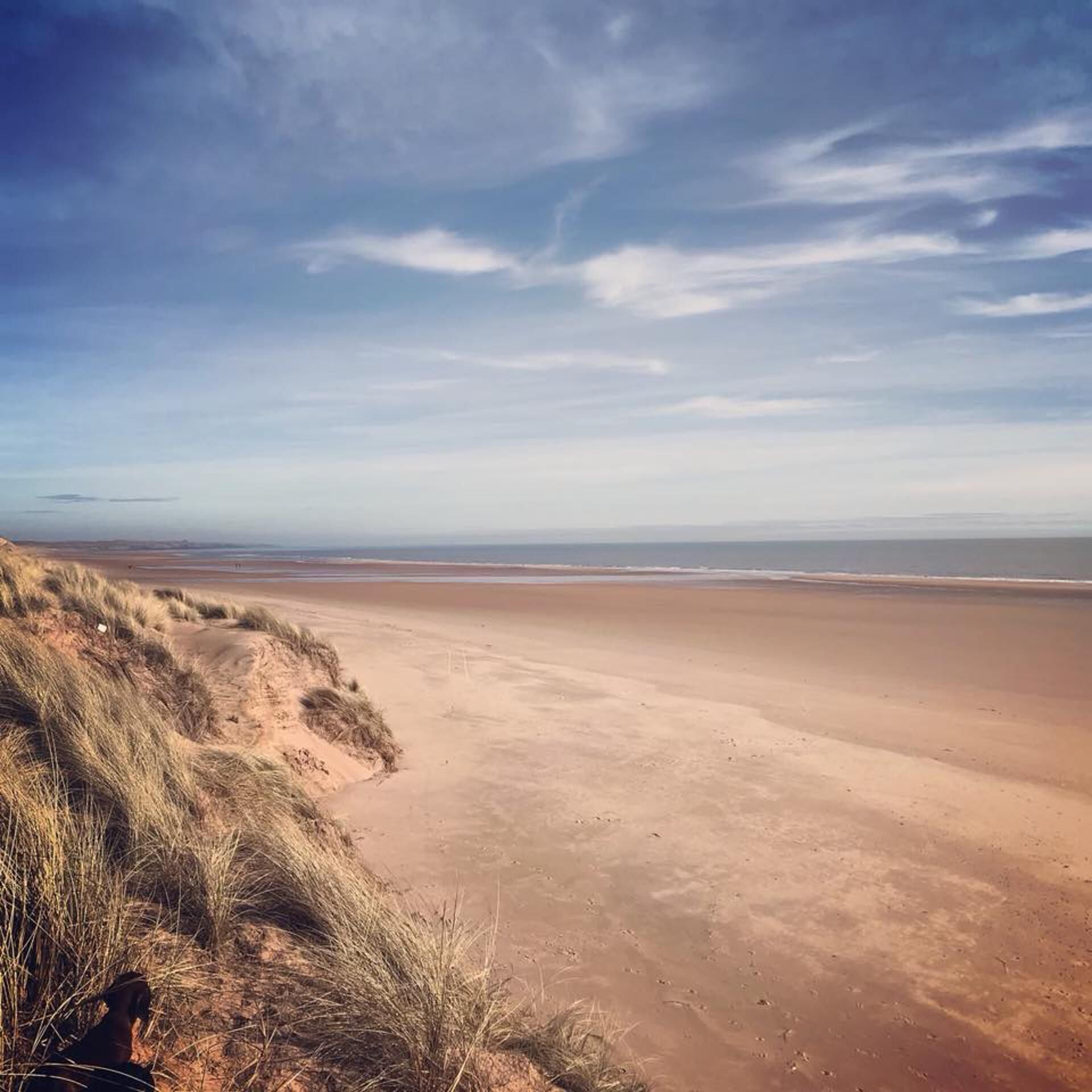 A beach with dunes and a clear sky.