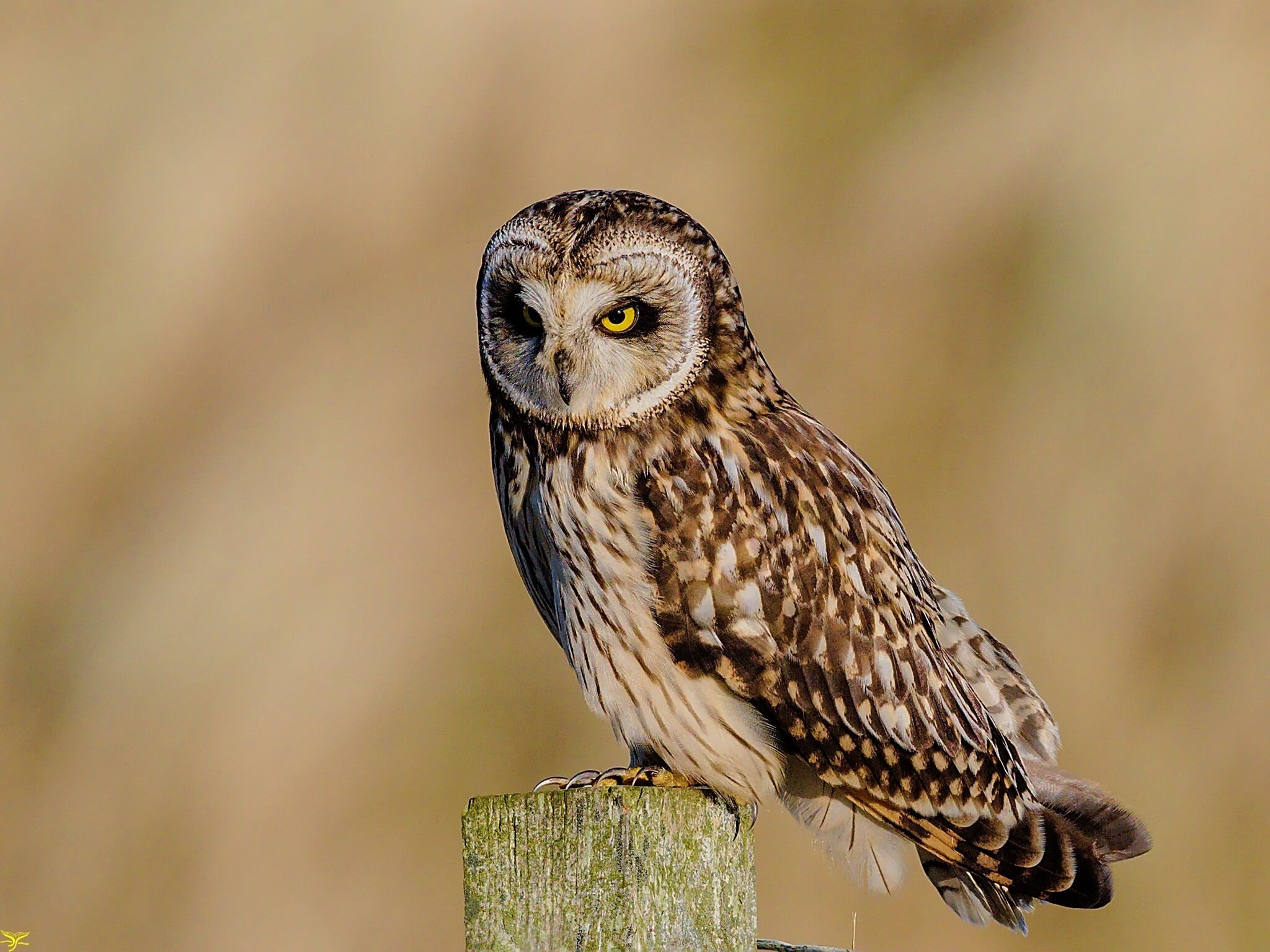 Casa | Detalle interior