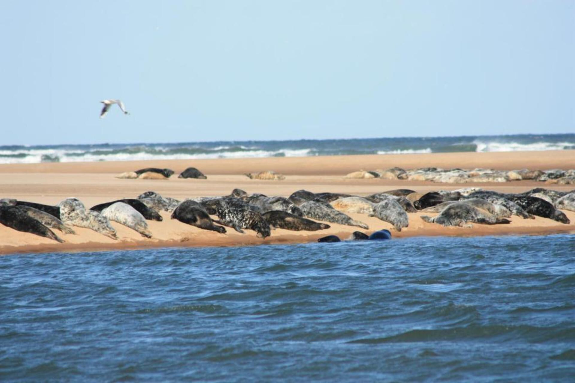 A beach with waves and rocks.