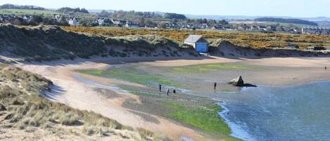 A coastal landscape with a sandy beach, grassy dunes, and a small blue structure.