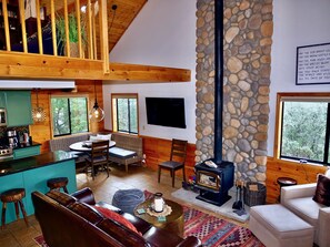 Smart TV, fireplace, books