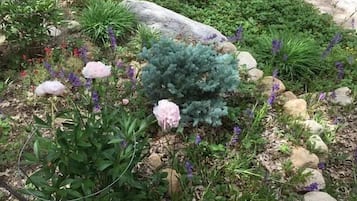 Overnatningsstedets område