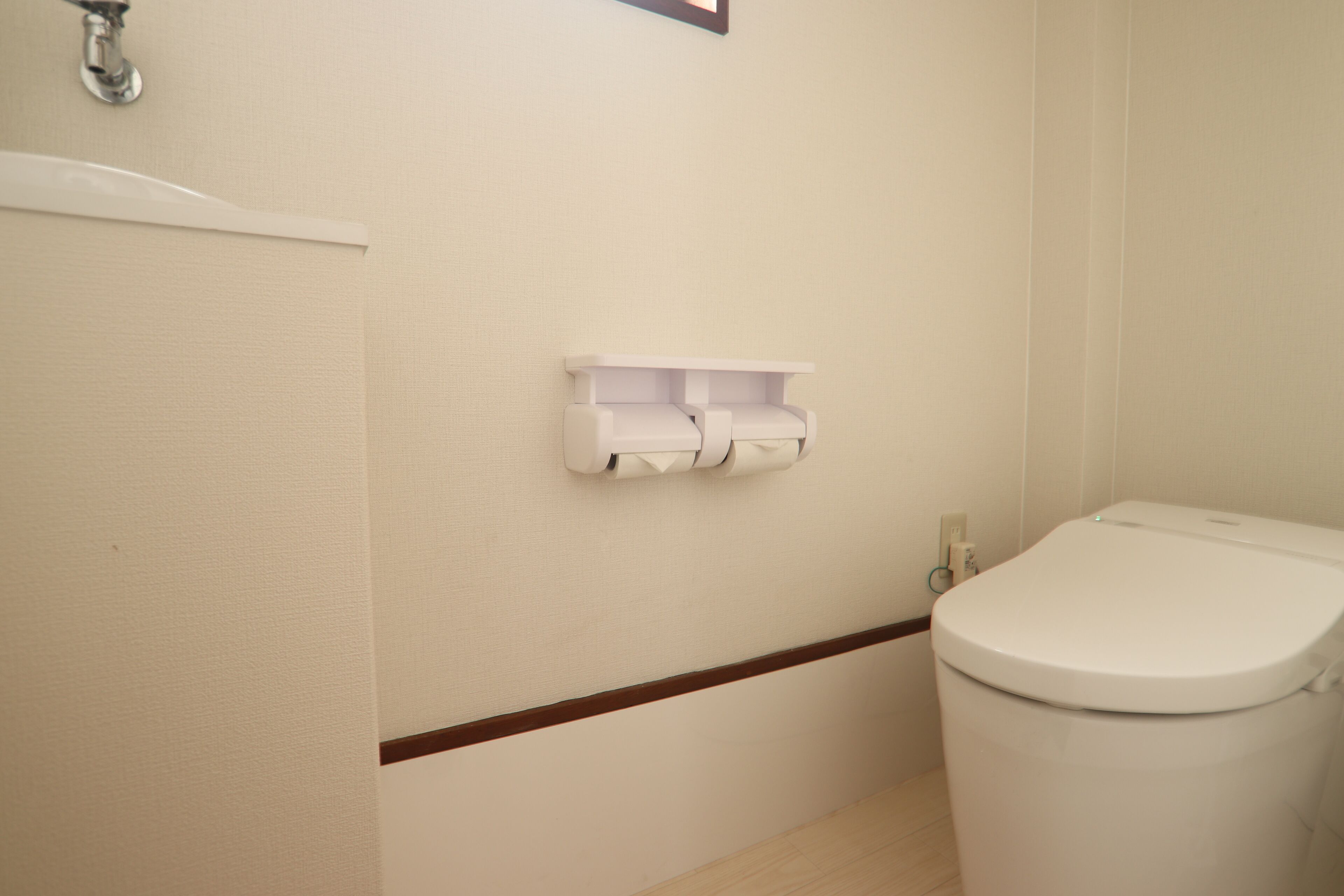 A bathroom with a toilet, a wall-mounted toilet paper holder, and a wooden baseboard.