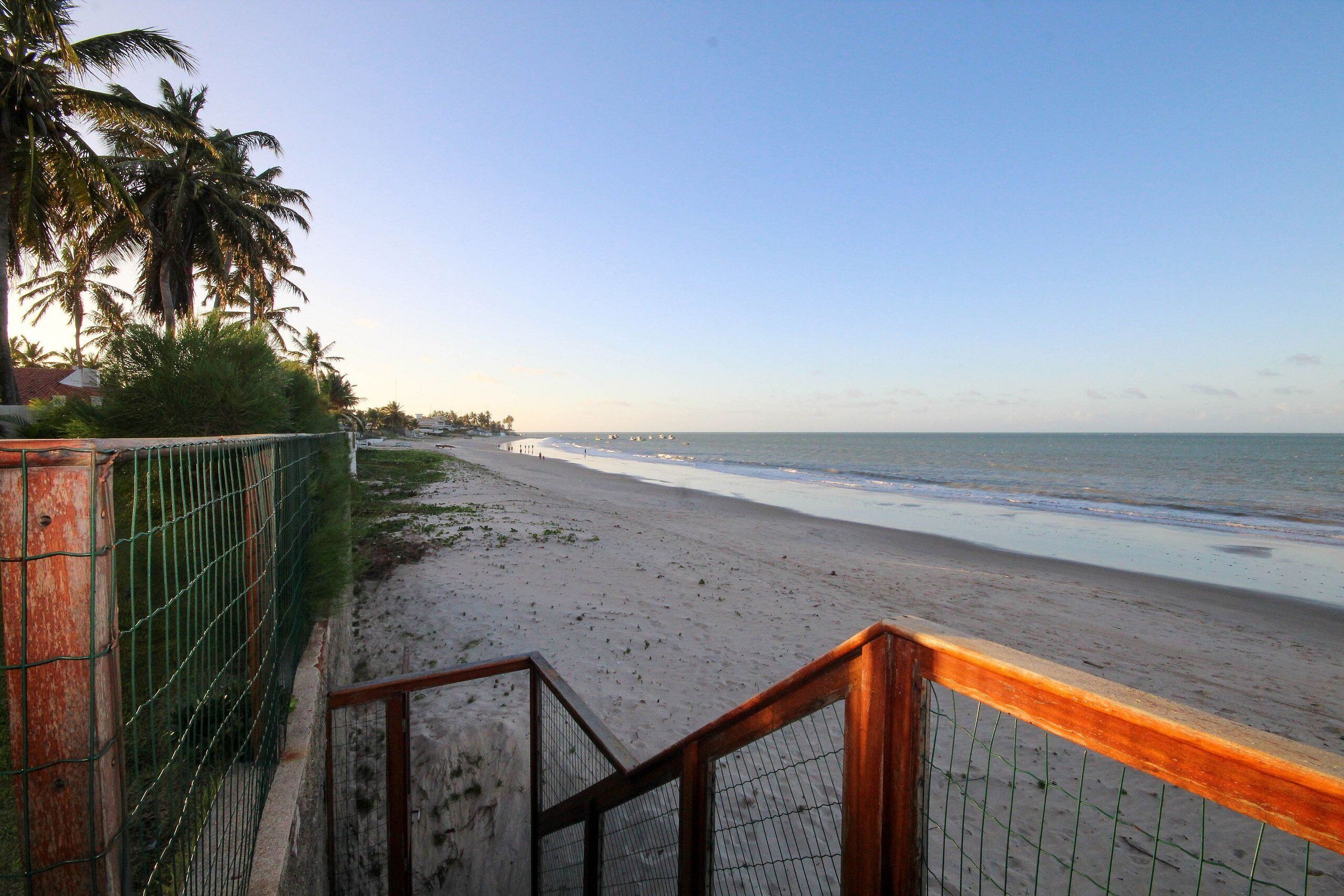 A beach with a fence and palm trees.