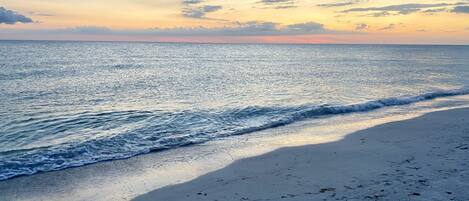 Plage à proximité, chaises longues, serviettes de plage