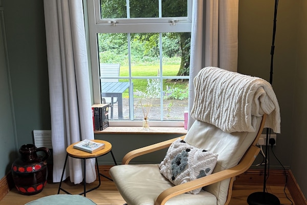 Smart TV, lareira, livros