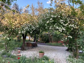 House | Property grounds