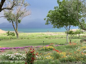 Nhà | Khuôn viên nơi lưu trú