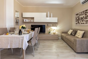 Smart TV, fireplace, books