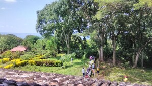 Unclassified image, 4 of 7, button - Hostal Finca Magdalena (Altagracia)