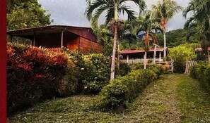 Property grounds - Hostal Finca Magdalena (Altagracia)