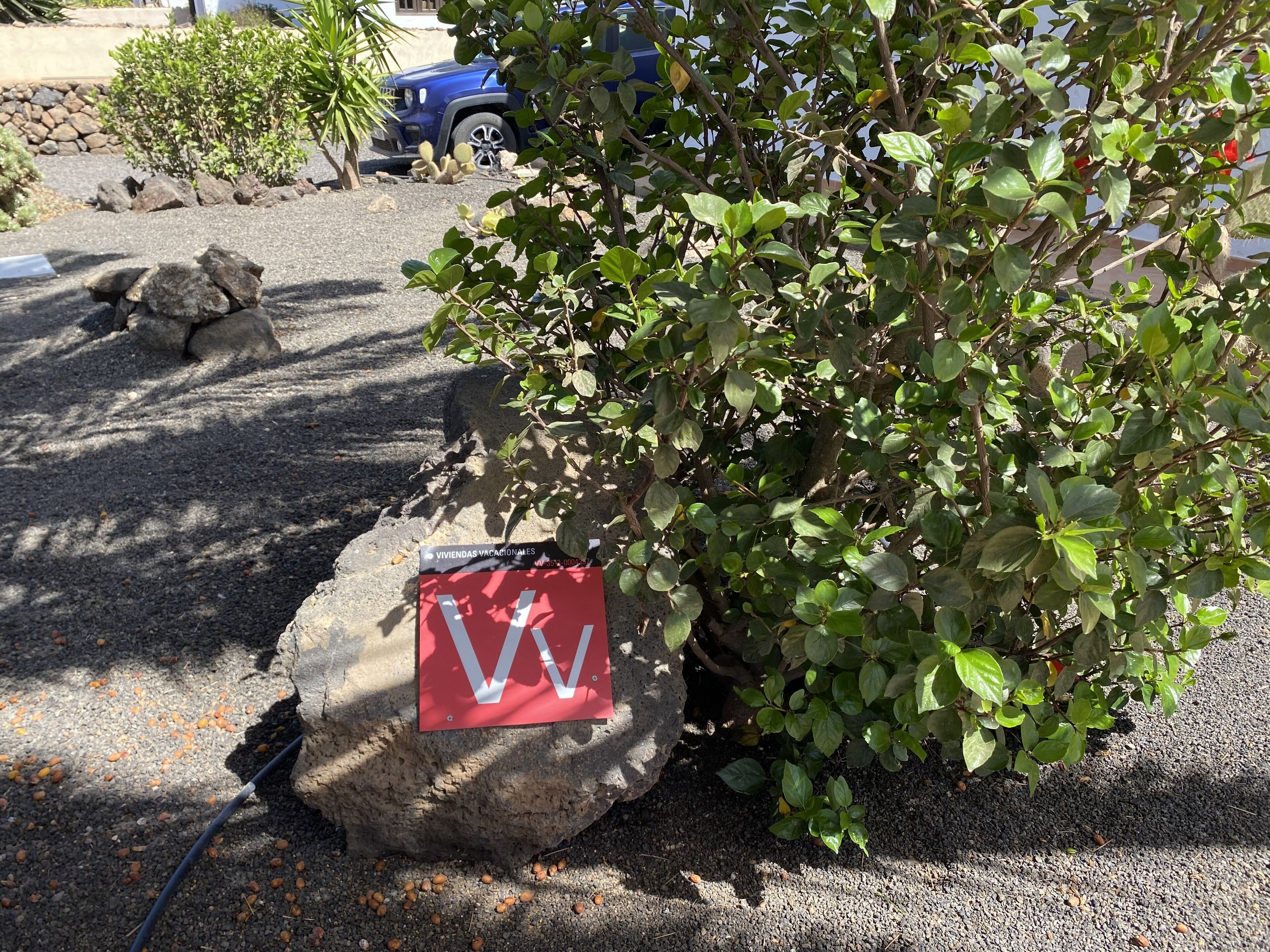 A garden area with a rock, a red sign, and a blue vehicle in the background.