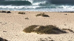 Une plage de sable où les vagues viennent se briser sur le rivage.