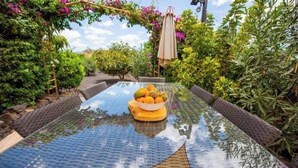 Une table à plateau en verre sur laquelle est posé un saladier de fruits, entourée de chaises en osier et de plantes vertes.