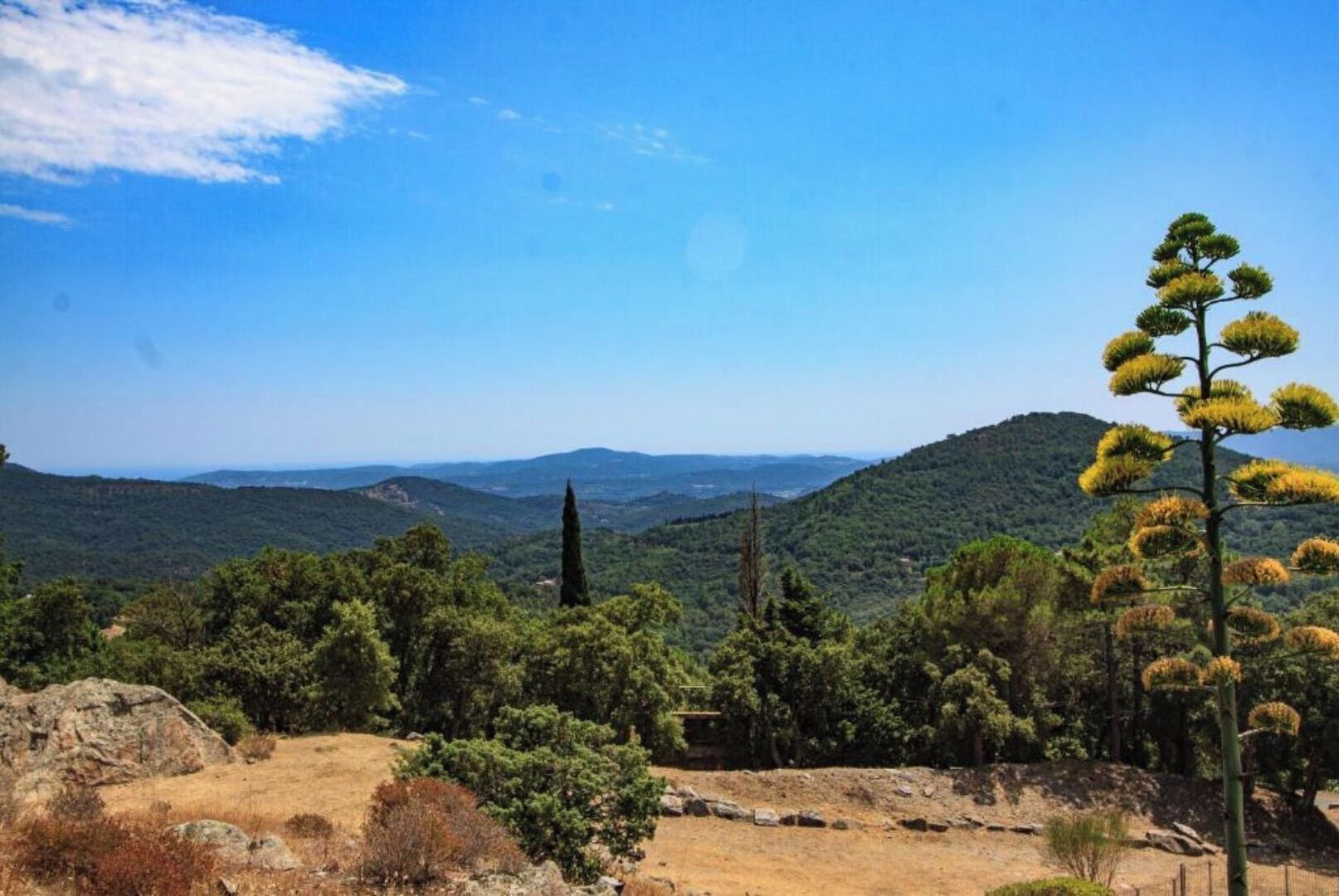 A mountainous landscape with dense greenery and a clear sky.